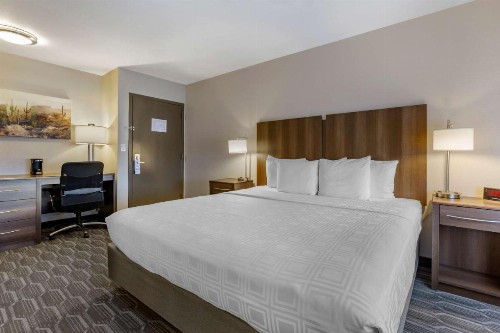 Best Western North Phoenix Hotel - image 3