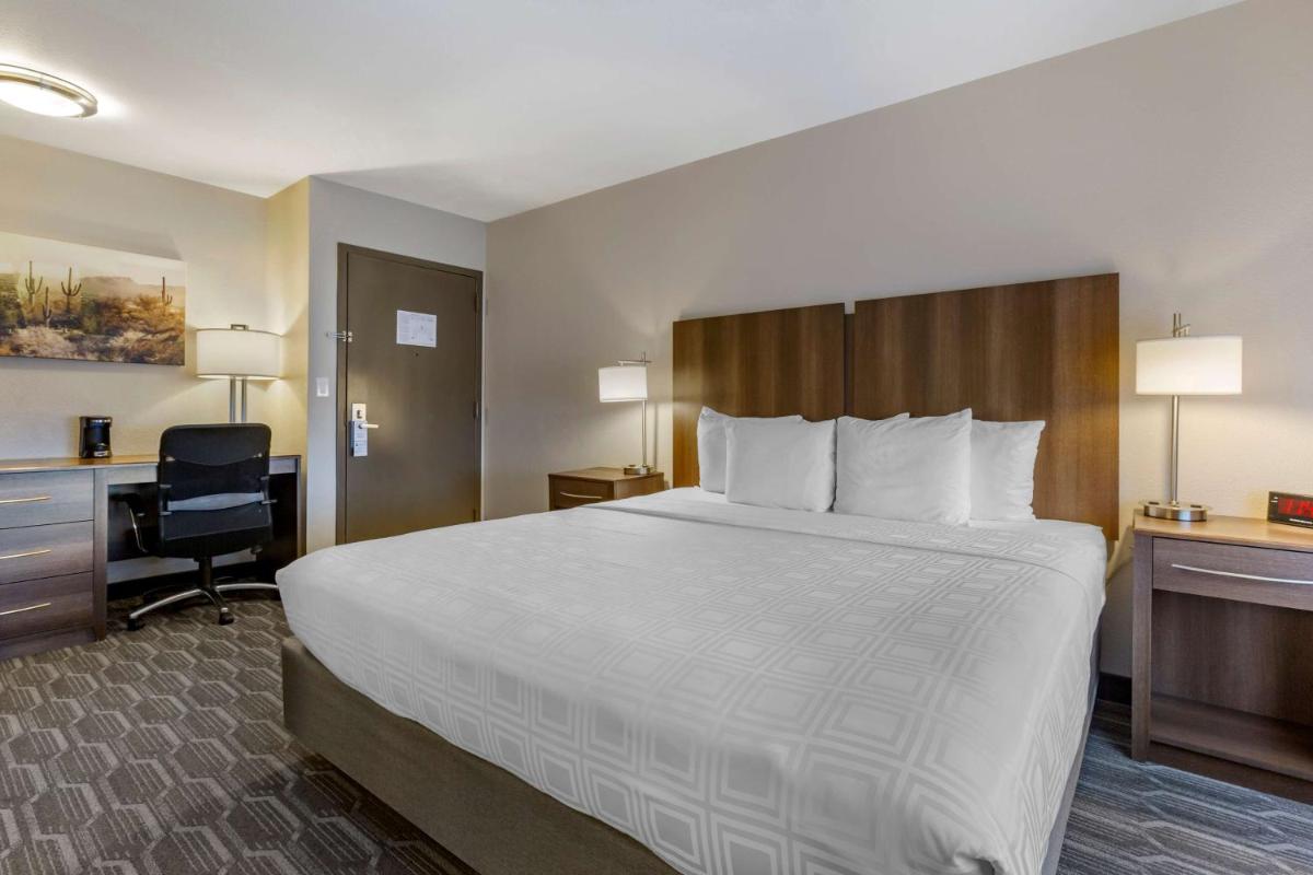 Best Western North Phoenix Hotel - image 3