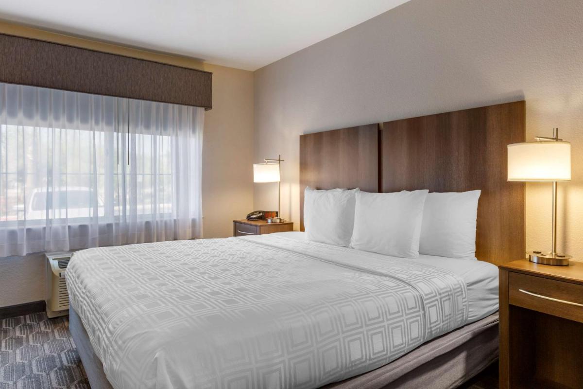 Best Western North Phoenix Hotel - image 4