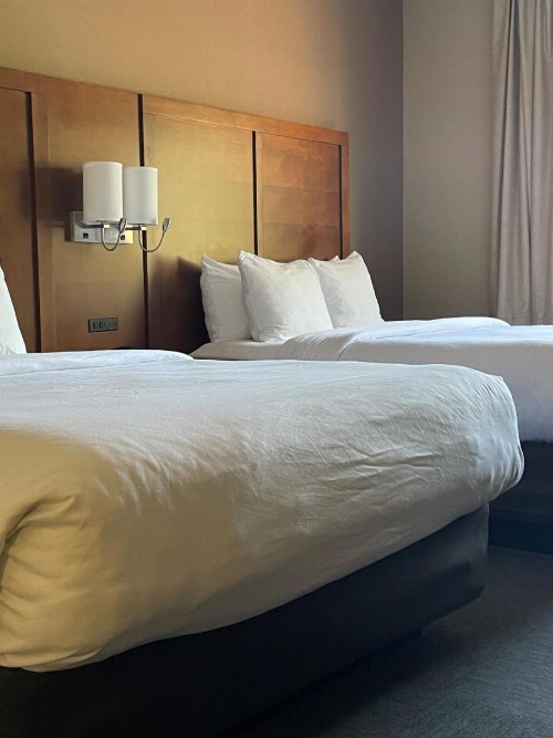 Comfort Suites At Metro Center Phoenix - image 3