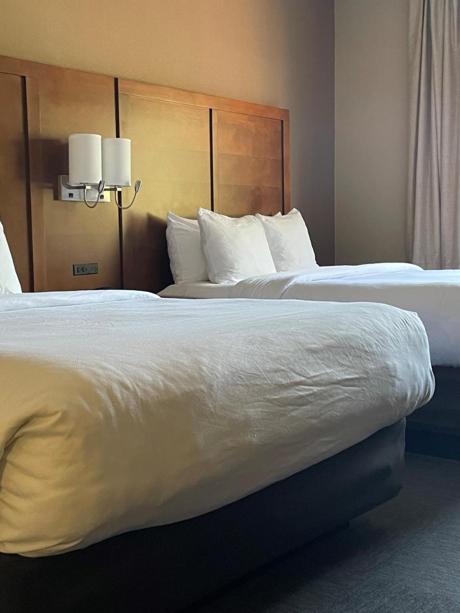 Comfort Suites At Metro Center Phoenix - image 3