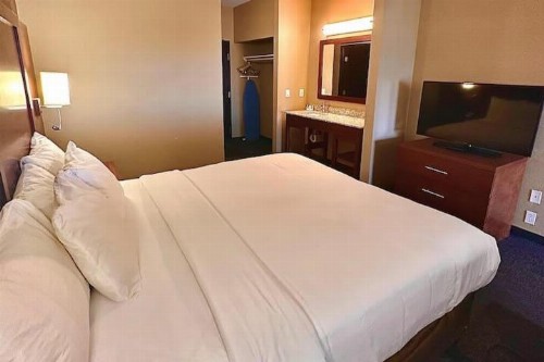 Comfort Suites At Metro Center Phoenix - image 8
