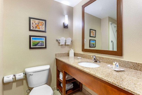 Comfort Suites Glendale - State Farm Stadium Area - image 16