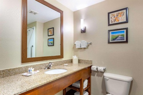 Comfort Suites Glendale - State Farm Stadium Area - image 17