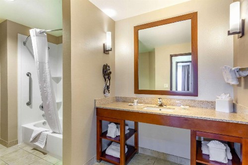 Comfort Suites Glendale - State Farm Stadium Area - image 22