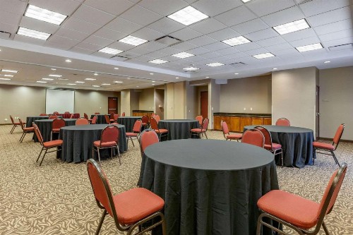 Comfort Suites Glendale - State Farm Stadium Area - image 24