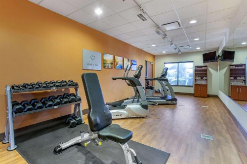 Comfort Suites Glendale - State Farm Stadium Area - image 27