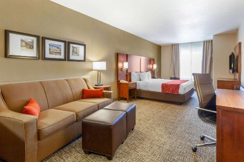 Comfort Suites Glendale - State Farm Stadium Area - image 34