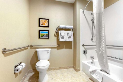 Comfort Suites Glendale - State Farm Stadium Area - image 36