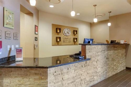 Comfort Suites Glendale - State Farm Stadium Area - image 4