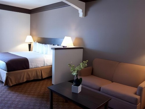Best Western Tolleson Hotel - image 18