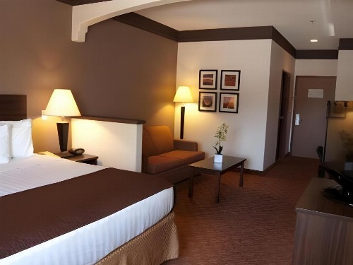 Best Western Tolleson Hotel - image 19