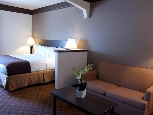Best Western Tolleson Hotel - image 37