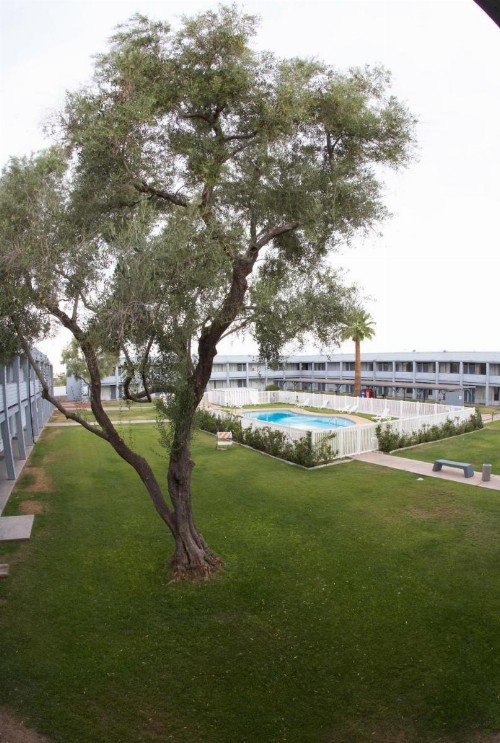 EZ 8 Motel Airporter - image 15