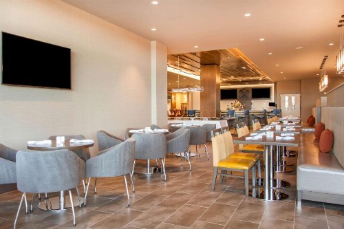 Cambria Hotel Phoenix- North Scottsdale - image 13