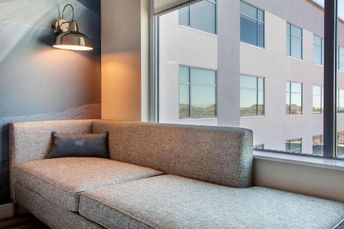 Cambria Hotel Phoenix- North Scottsdale - image 17