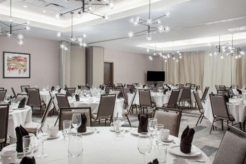 Cambria Hotel Phoenix- North Scottsdale - image 25