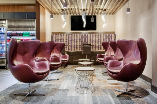 Cambria Hotel Phoenix- North Scottsdale - image 7
