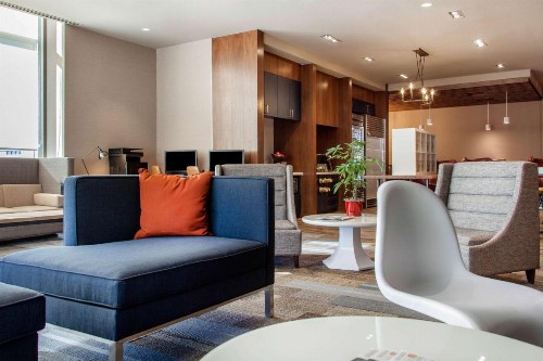 Cambria Hotel Phoenix- North Scottsdale - image 9