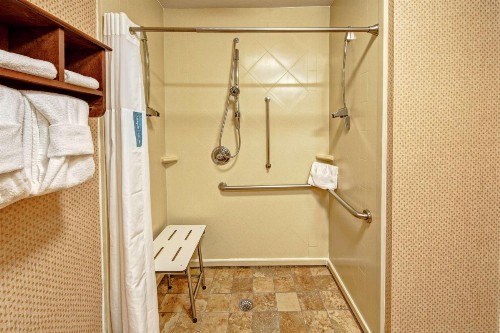 Hampton Inn & Suites Pigeon Forge On The Parkway - image 24