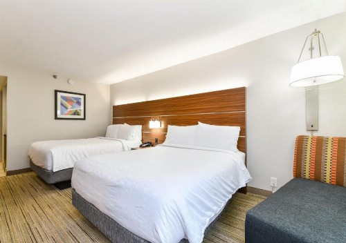 Holiday Inn Express Hotel & Suites Pigeon Forge an IHG Hotel - image 6