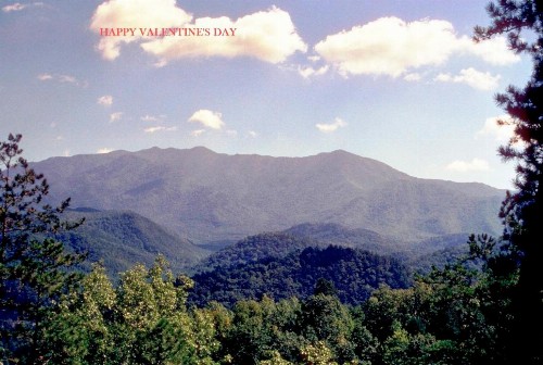 Hotel Pigeon Forge - image 7
