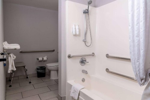Microtel Inn & Suites by Wyndham Pigeon Forge - image 33