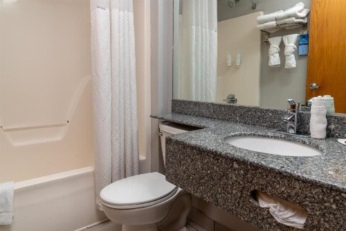 Microtel Inn & Suites by Wyndham Pigeon Forge - image 45