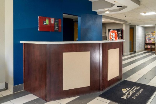 Microtel Inn & Suites by Wyndham Pigeon Forge - image 48