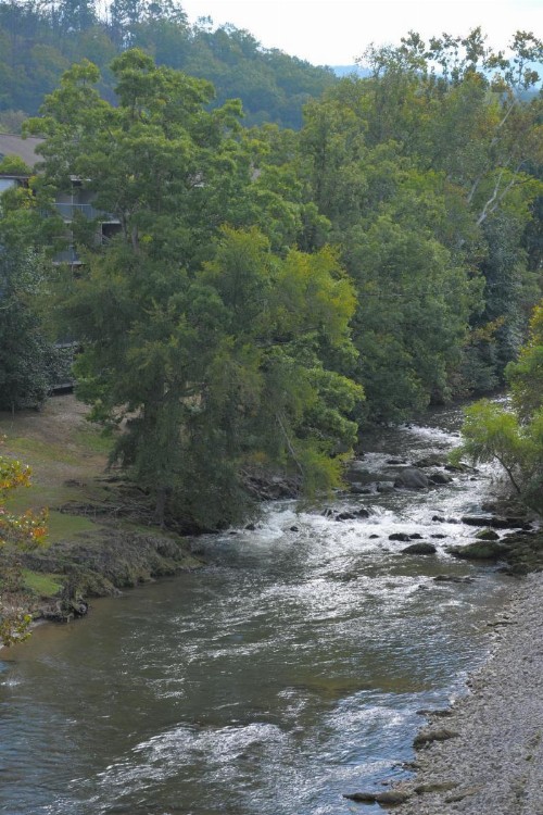 Creekstone Inn - image 19