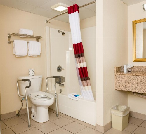 Red Roof Inn & Suites Pigeon Forge Parkway - image 36
