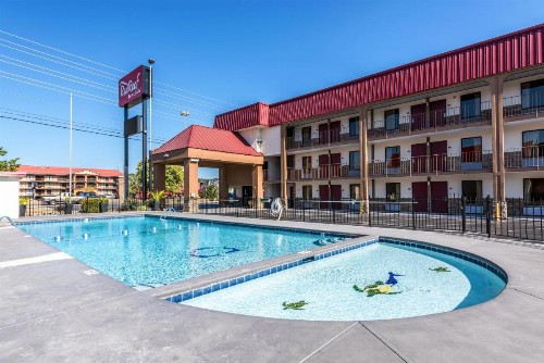 Red Roof Inn & Suites Pigeon Forge Parkway - image 8
