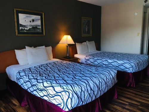 Bear Mount Inn & Suites - image 4