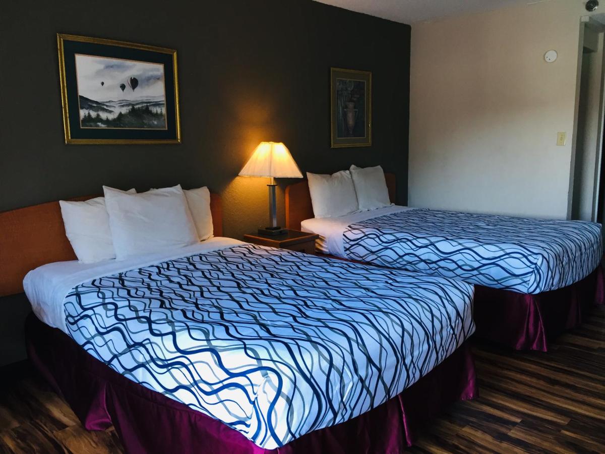 Bear Mount Inn & Suites - image 4