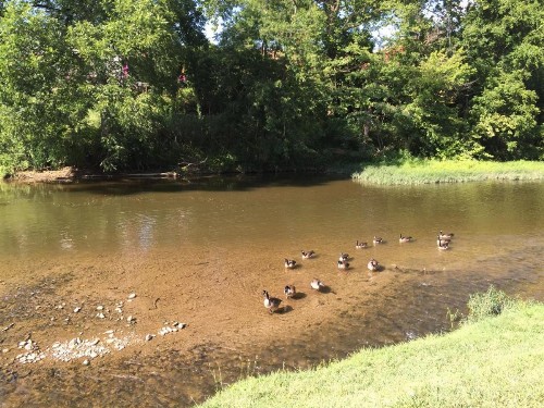 Pigeon River Inn - image 39