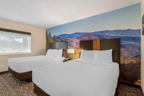 MainStay Suites Conference Center Pigeon Forge - image 21