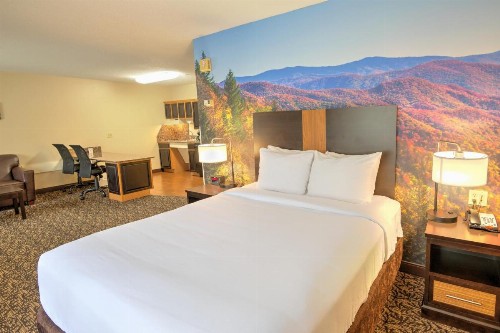 MainStay Suites Conference Center Pigeon Forge - image 26