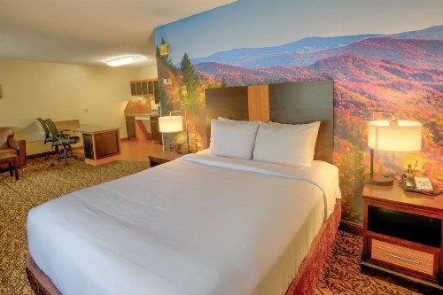 MainStay Suites Conference Center Pigeon Forge - image 28