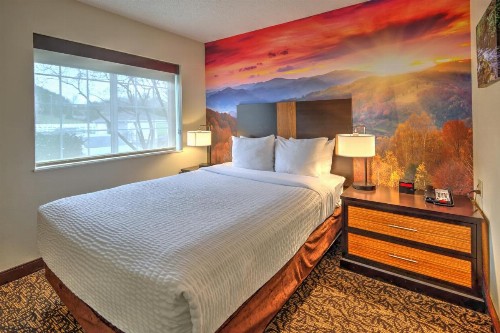 MainStay Suites Conference Center Pigeon Forge - image 30