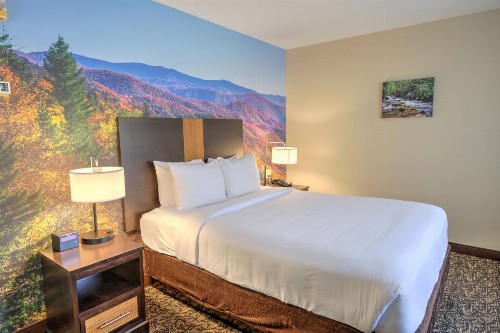 MainStay Suites Conference Center Pigeon Forge - image 41