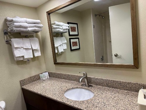 Comfort Suites Mountain Mile Area - image 10