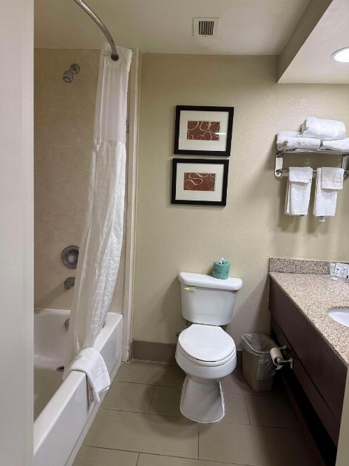 Comfort Suites Mountain Mile Area - image 14