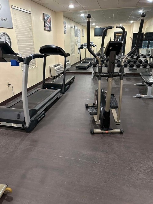 Comfort Suites Mountain Mile Area - image 16