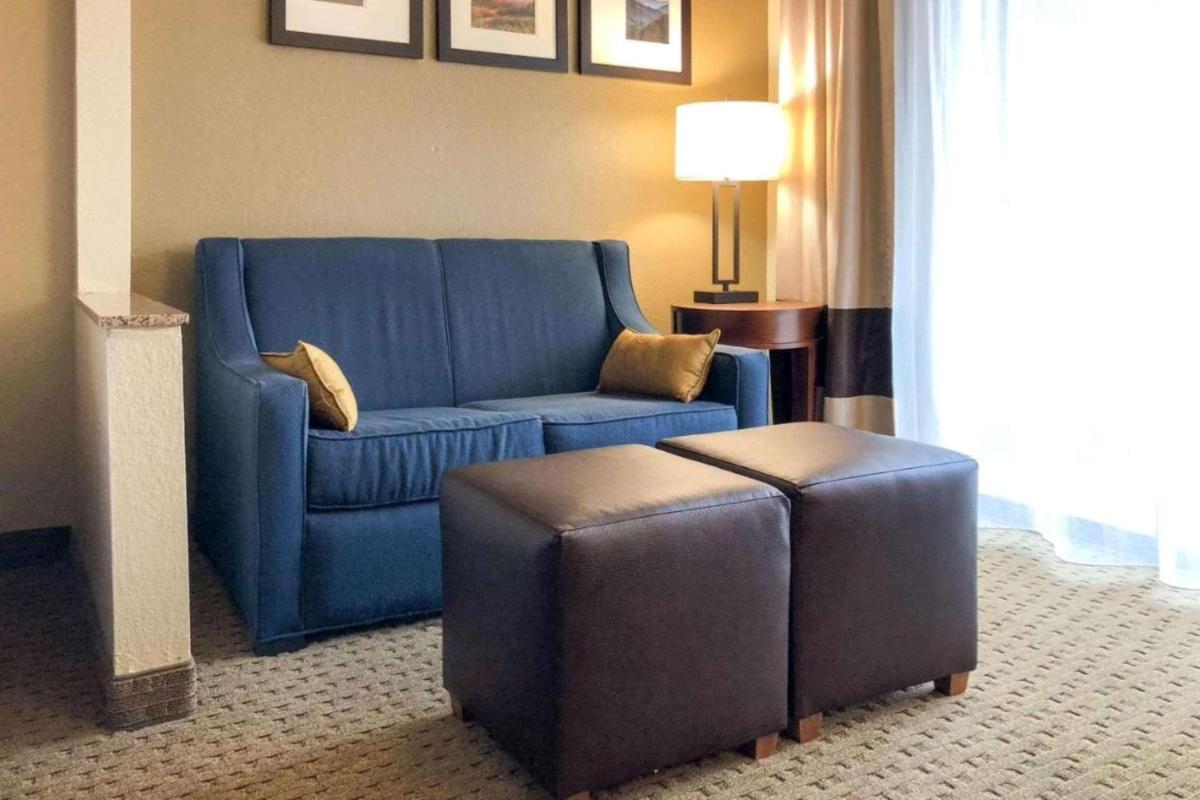 Comfort Suites Mountain Mile Area - image 2