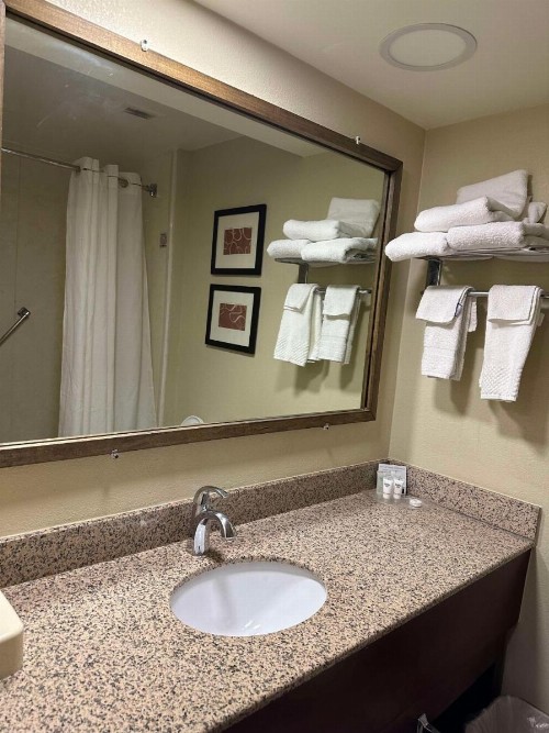 Comfort Suites Mountain Mile Area - image 19