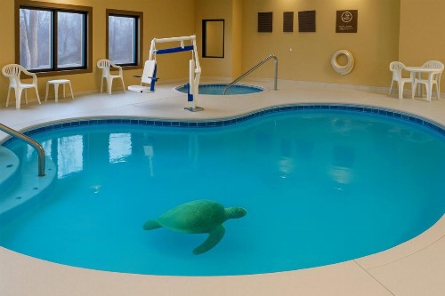 Comfort Suites Mountain Mile Area - image 21