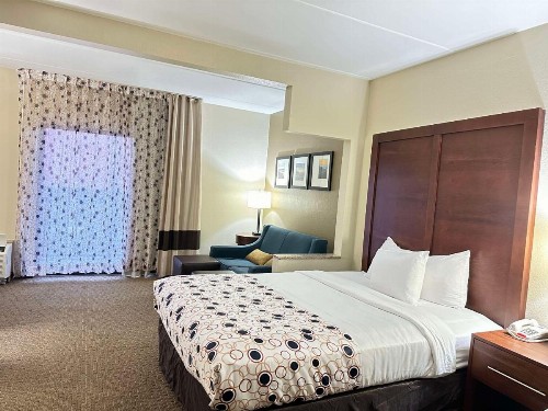 Comfort Suites Mountain Mile Area - image 3