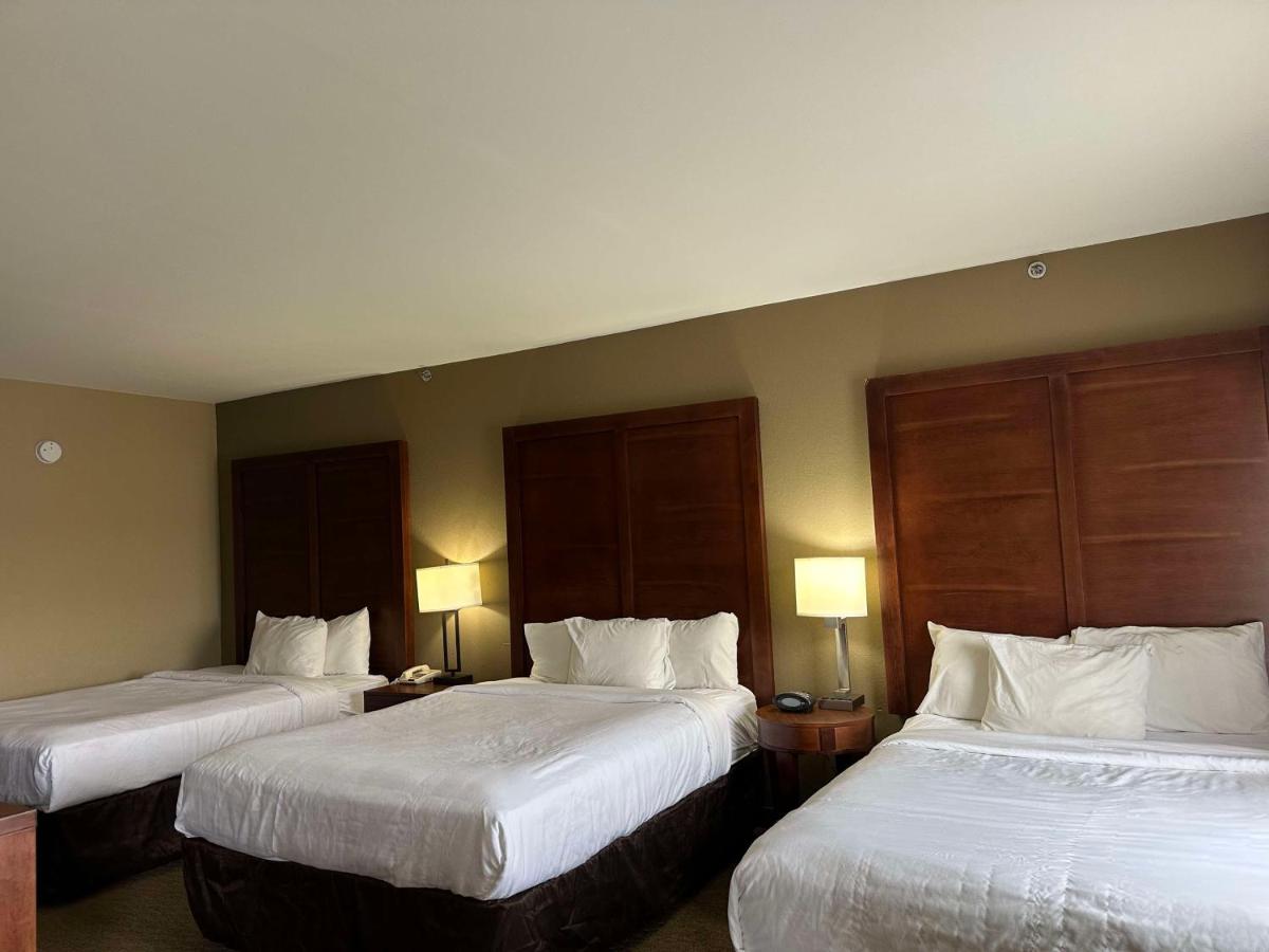 Comfort Suites Mountain Mile Area - image 7