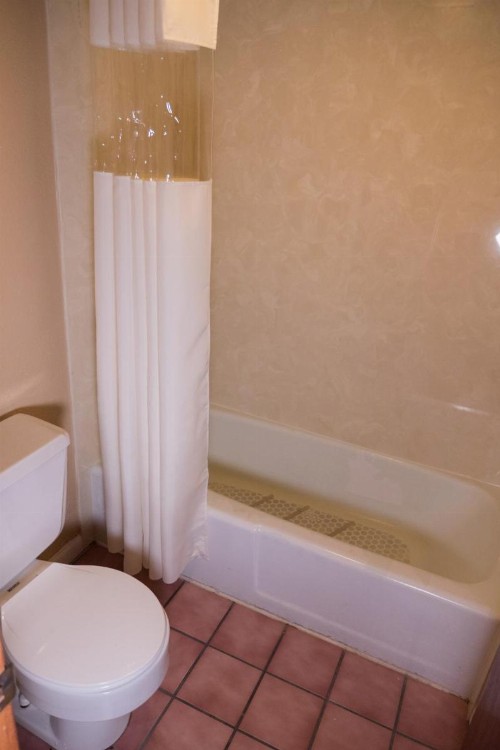 Wild Bear Inn - image 11
