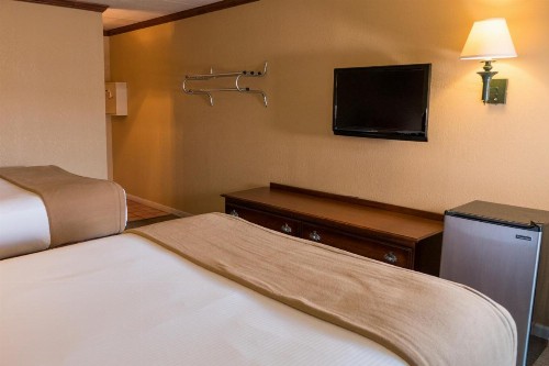 Wild Bear Inn - image 13